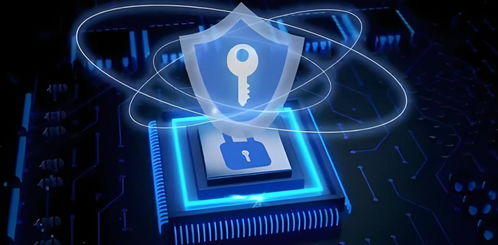 只需三步申请 OV HTTPS 证书 网络与信息安全开发指南