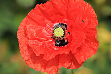 政府重拳出击，十八款软件被禁，筑牢网络安全防线，守护个人信息安全